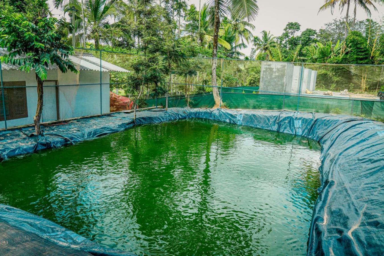 Green Aura Private Villas Sultan Bathery Exterior foto
